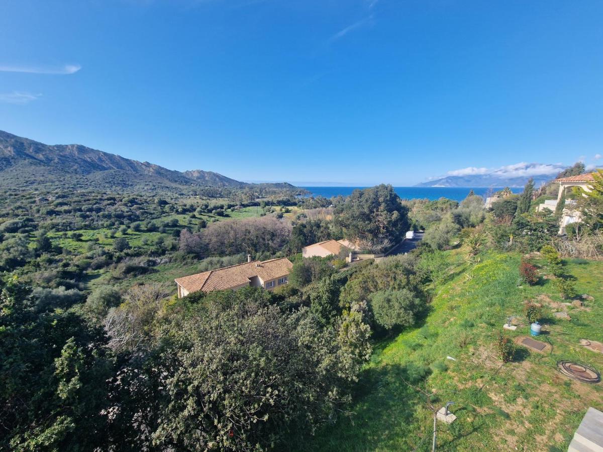 Appartement Vue Mer Fromontica Сен-Флоран Экстерьер фото